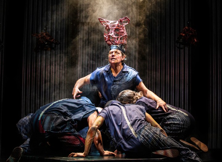 1-Animal-Farm-Pamela-Raith-Photography