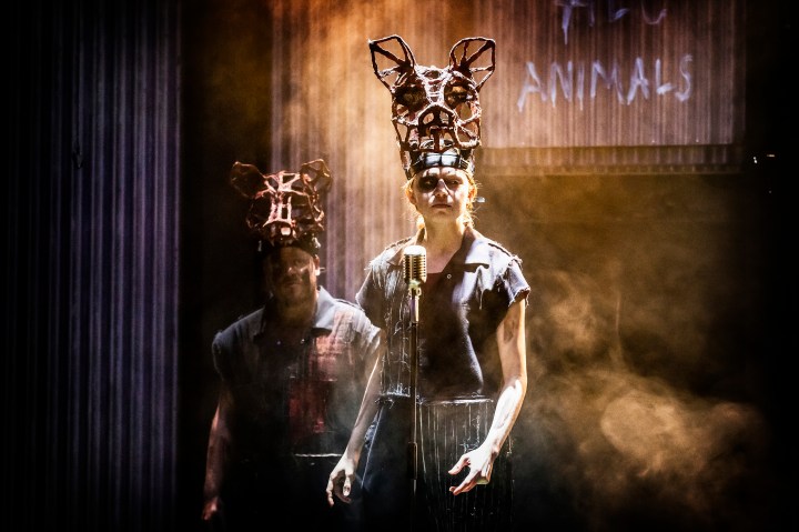 9-Animal-Farm-Pamela-Raith-Photography